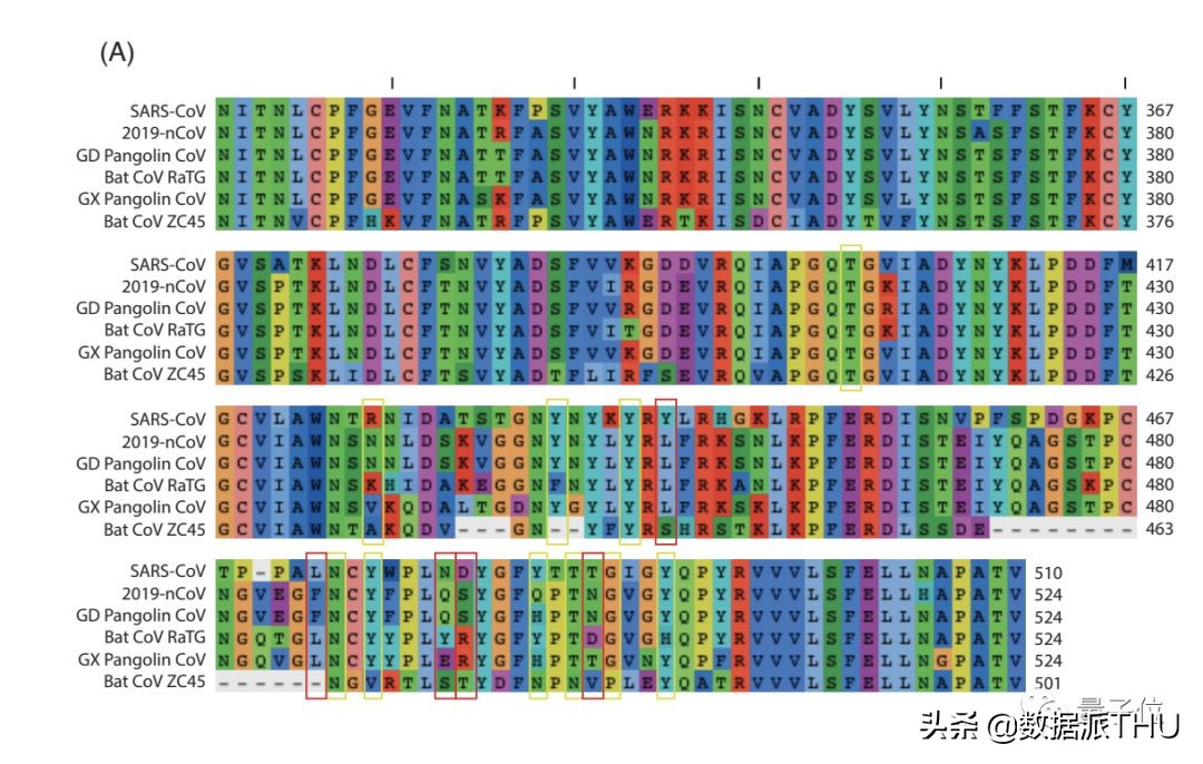 *私走**的穿山甲携带冠状病毒，与2019-nCoV高度相似