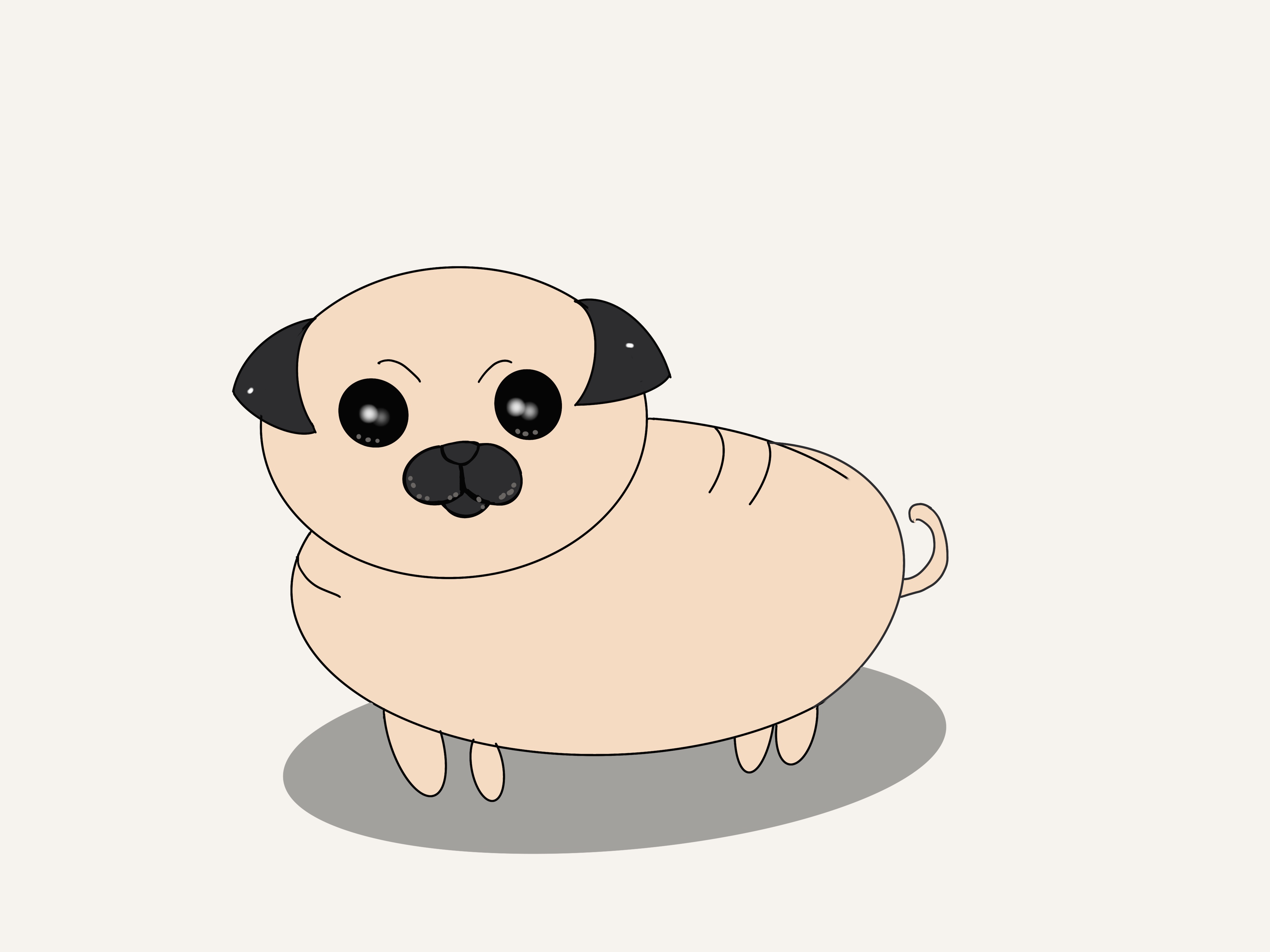 家里养猫怎么缓解猫的害怕,家猫特别害怕流浪猫怎么办