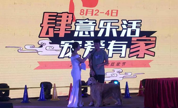 鑲嗘剰涔愭椿灞变笢,鑲嗘剰涔愭椿