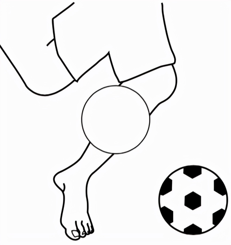 肌骨康复研究常用方法,肌骨康复入门书籍