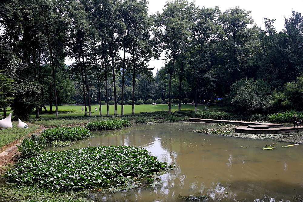 红河谷半音阶口琴独奏,12孔半音阶口琴演奏北国风光