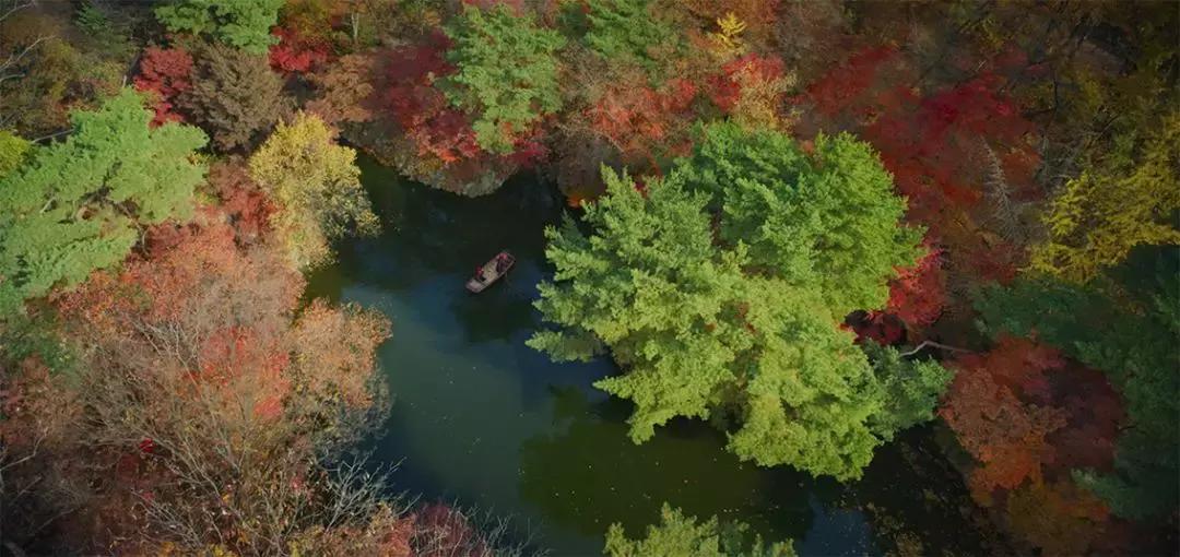 撕开韩剧最大尺度,但没想到片子想说的,尺度更大……