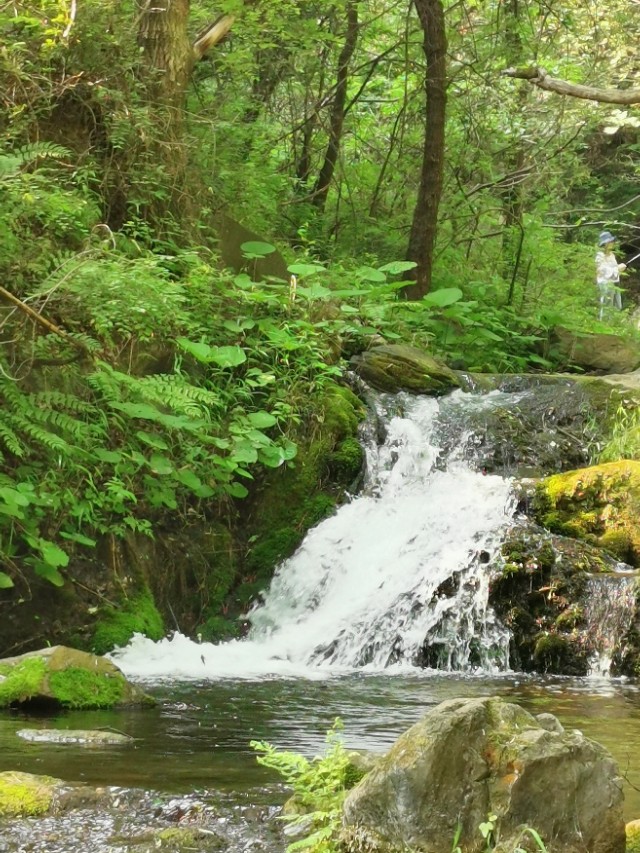 曾经的穷山沟：重渡沟，如今华丽变身河南最美乡村之一