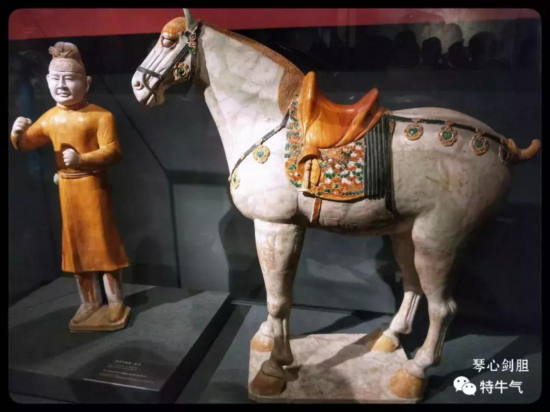 赤金走龙陕西历史博物馆,陕西历史博物馆抢票攻略