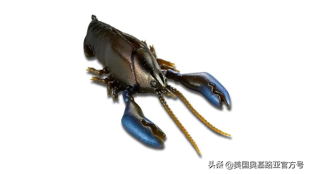 2021年春季渔具展会,2021昆明渔具展时间表