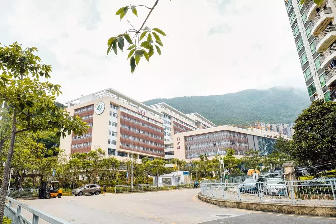 隐藏在梧桐山里的世外桃源,深山独门独户世外桃源