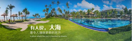 生蚝之乡广东阳江,生蚝之乡鲜蚝