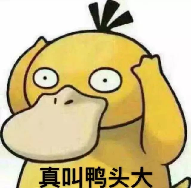 猫咪乱吃药怎么救,猫咪乱尿解决神器