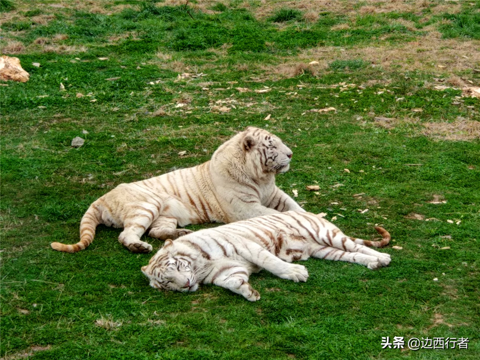 五一去哪儿玩不花钱又好玩游乐园,五一后游乐场一日游保定附近