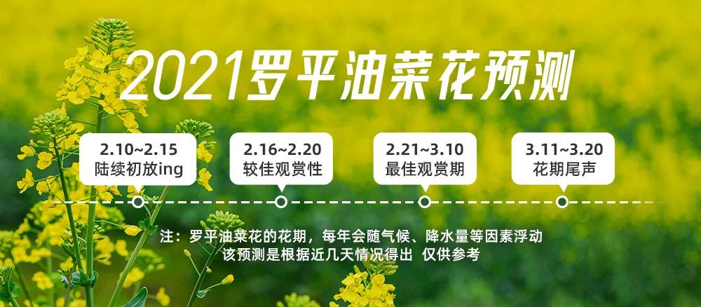 如果2月可以畅快出行，我真想走遍国内这9个地方