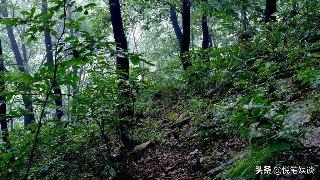 锦衣之下小番外第二十三集,锦衣之下小番外三十六