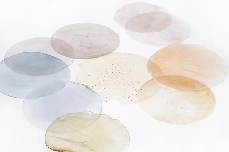 食物设计案例,健康饮食的设计意图