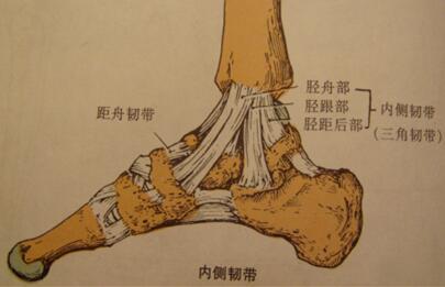 崴脚了正确的处理流程,轻微崴脚之后需要怎么做