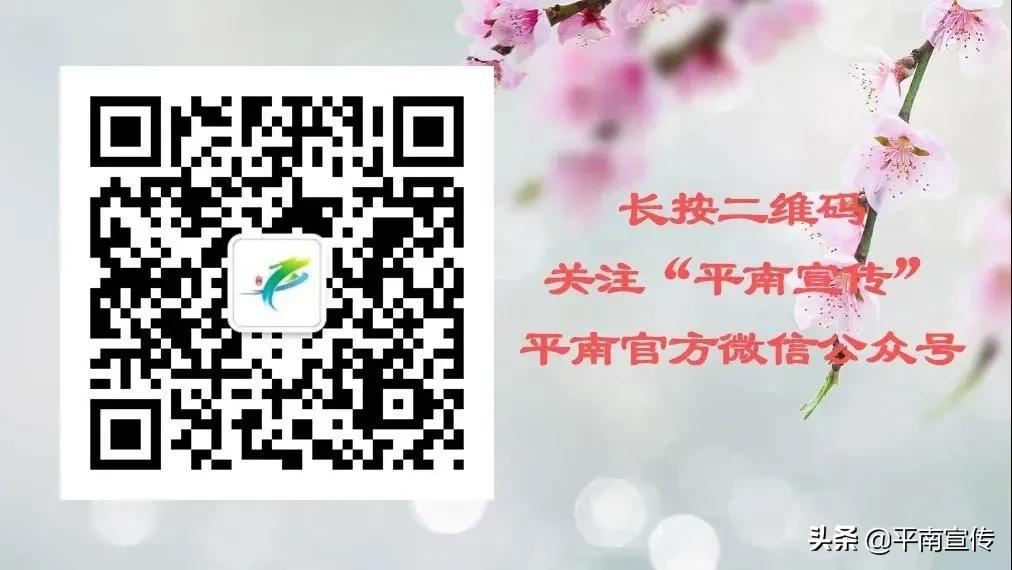 平南县教育,广西平南县教育