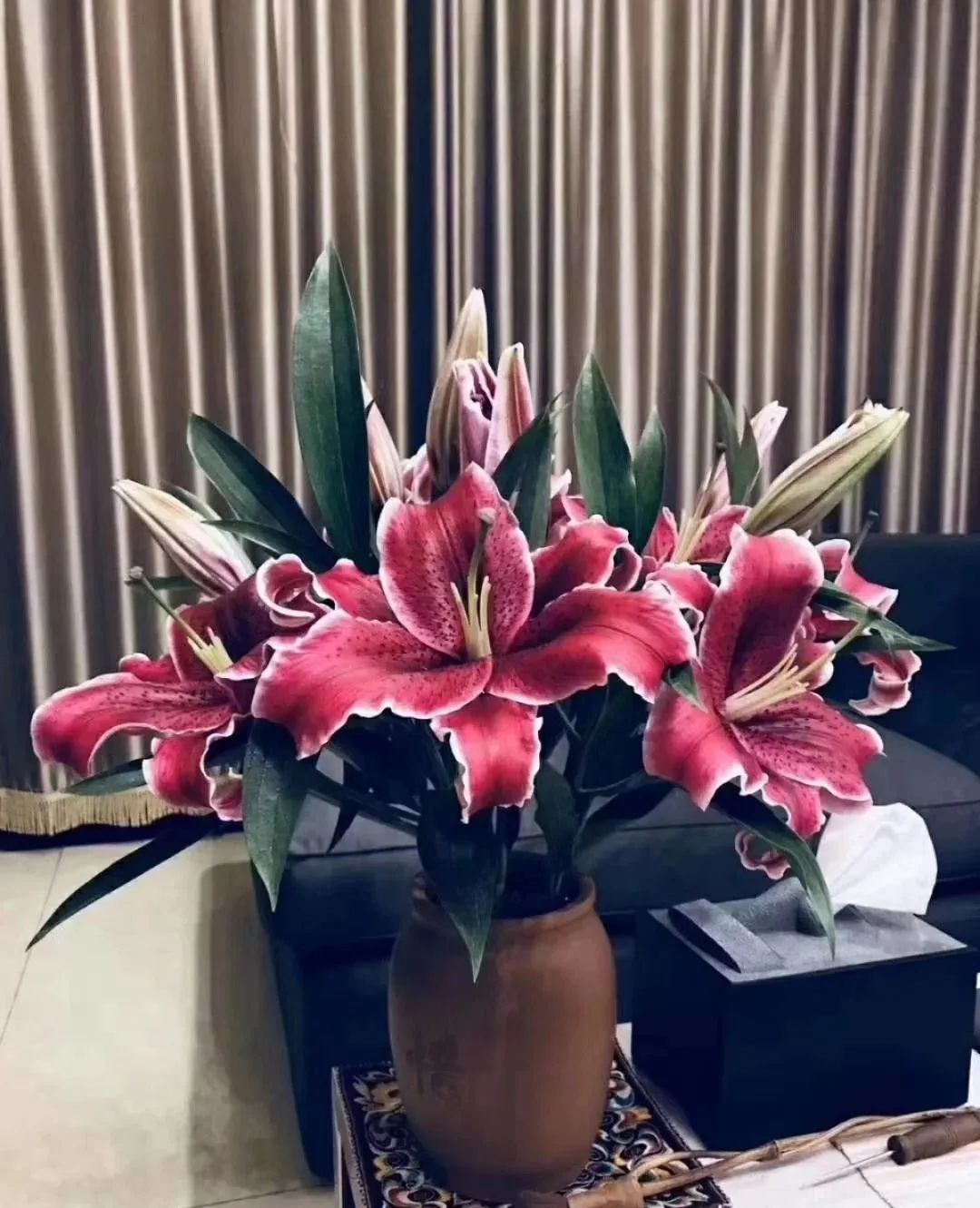 秋日赏花,百合必须要拥有姓名