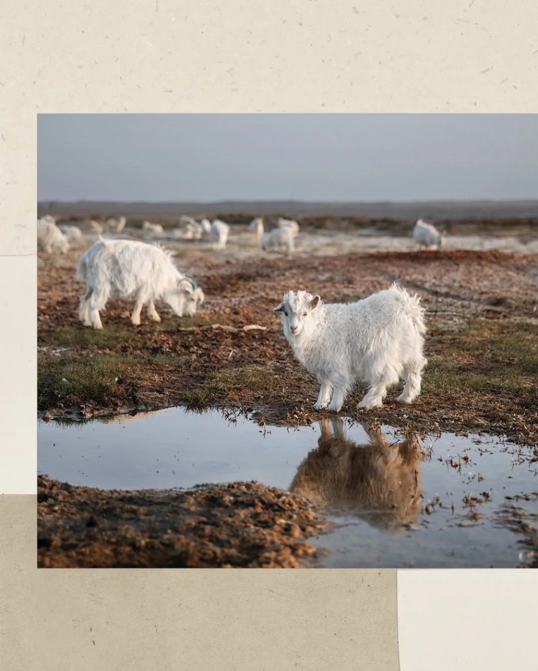 为什么大衣给人感觉很高级,为什么一件大衣能决定整体质感