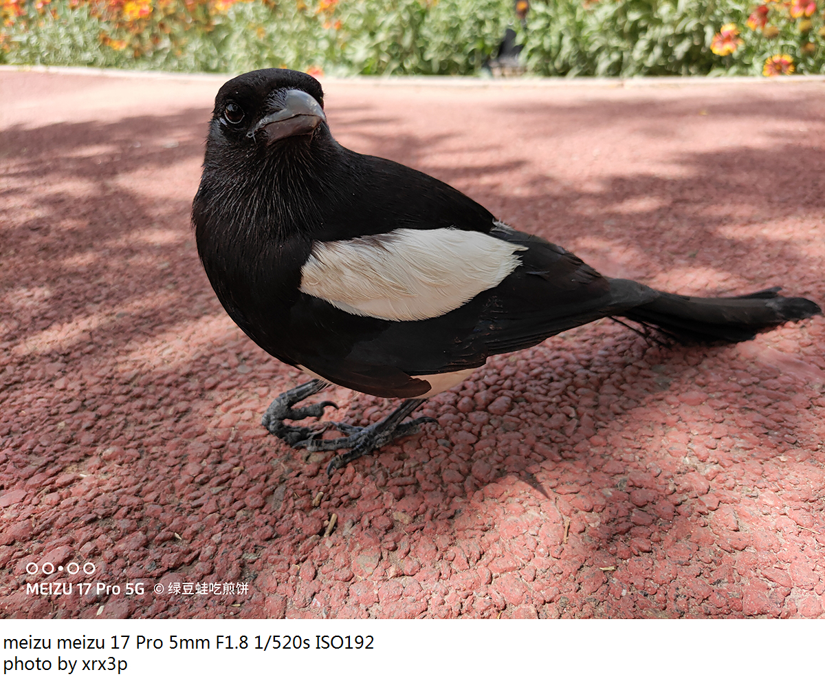 魅族17pro拍照怎么用,魅族17pro拍照体验