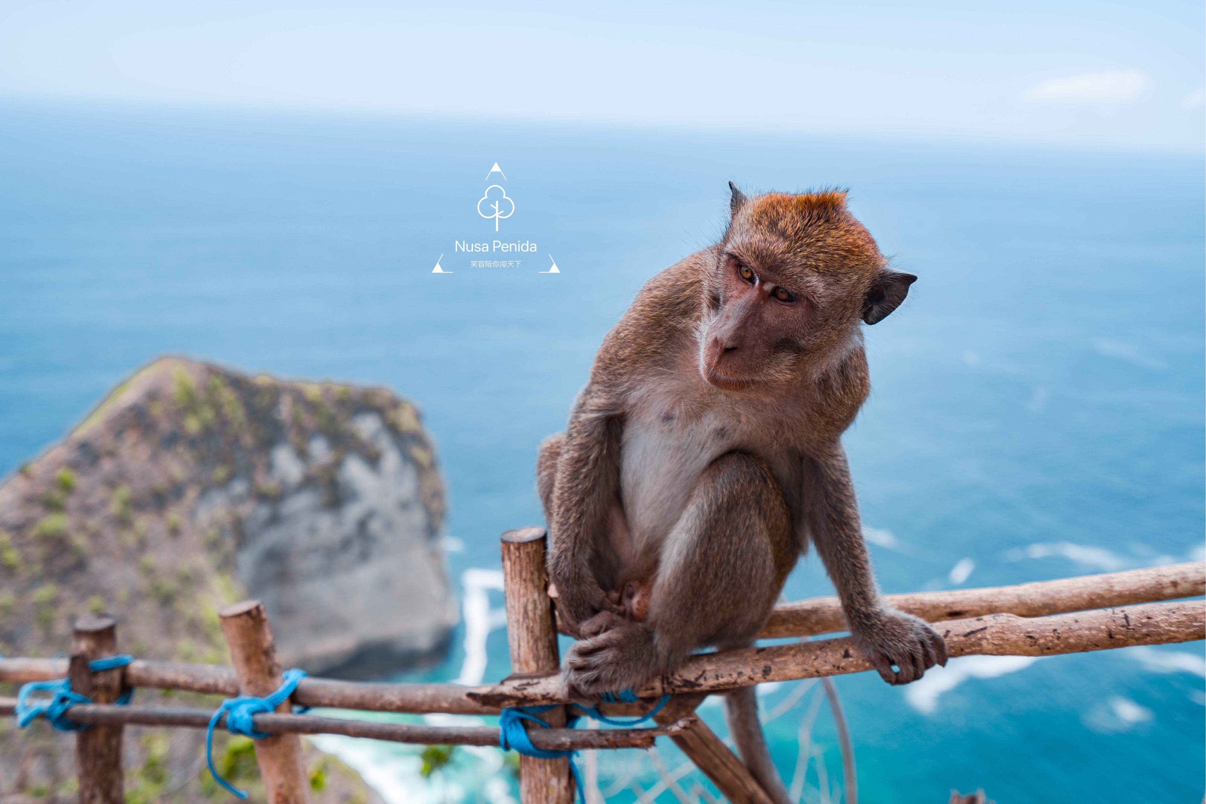 巴厘岛网红打卡地,网红打卡旅游胜地巴厘岛