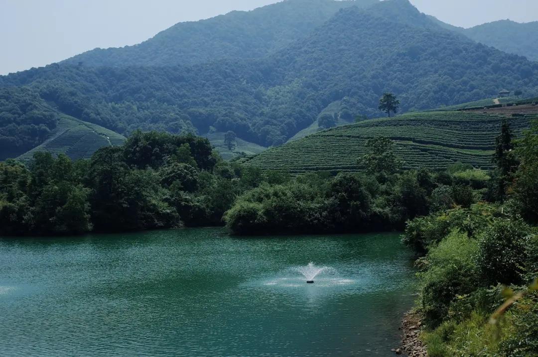 杭州西湖人少景美的地方,杭州人少景美免费景点