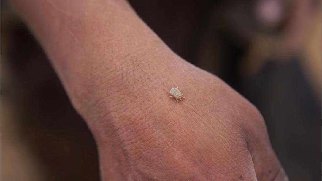 66岁渔民打鱼,60岁渔民捕鱼