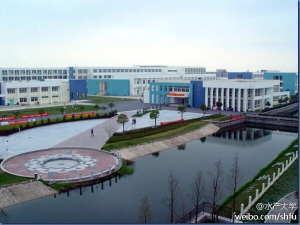 南汇大学城好吗,南汇新城发展较弱的原因