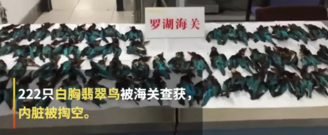 一顶凤冠需要多少翠鸟,一顶凤冠述说一段历史