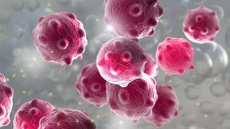 酵素作用全面解答,酵素效果讲解视频