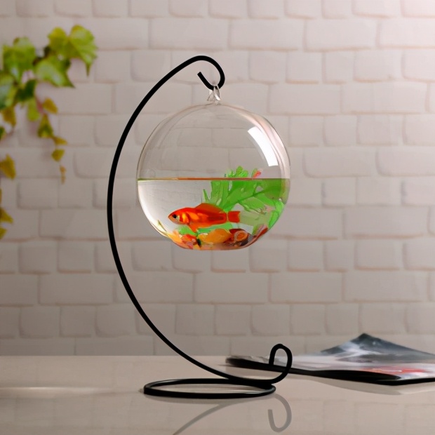 新手养鱼买什么鱼缸好,新手养鱼买什么鱼缸比较好