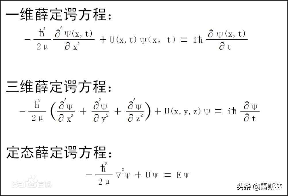 水猴子警告,小亮日常科普水猴子