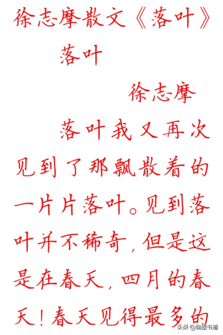 徐志摩散文落叶读后感,徐志摩的散文落叶经典图片