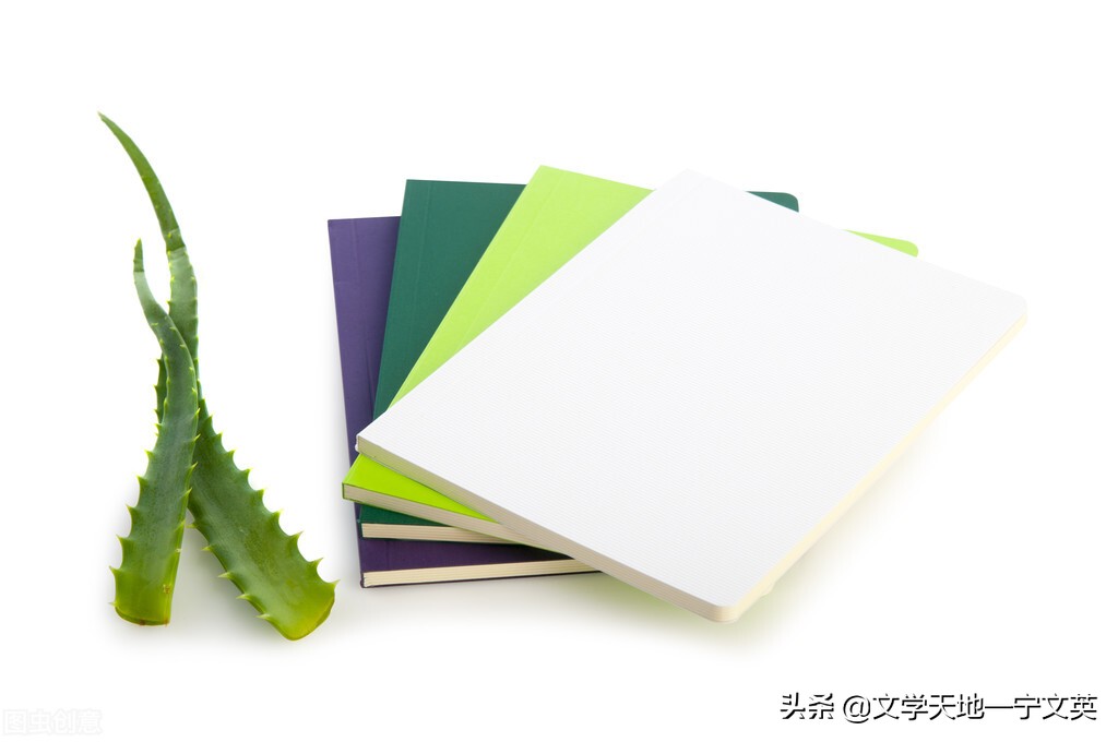 牛虻电视剧,老电影牛虻