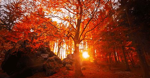 内蒙古最后的秘境！一脚跨3省，美了4季，高铁直达却低调了5000年​