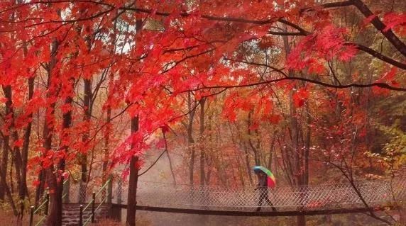 沈阳游玩景点攻略,沈阳游玩景点推荐泡温泉