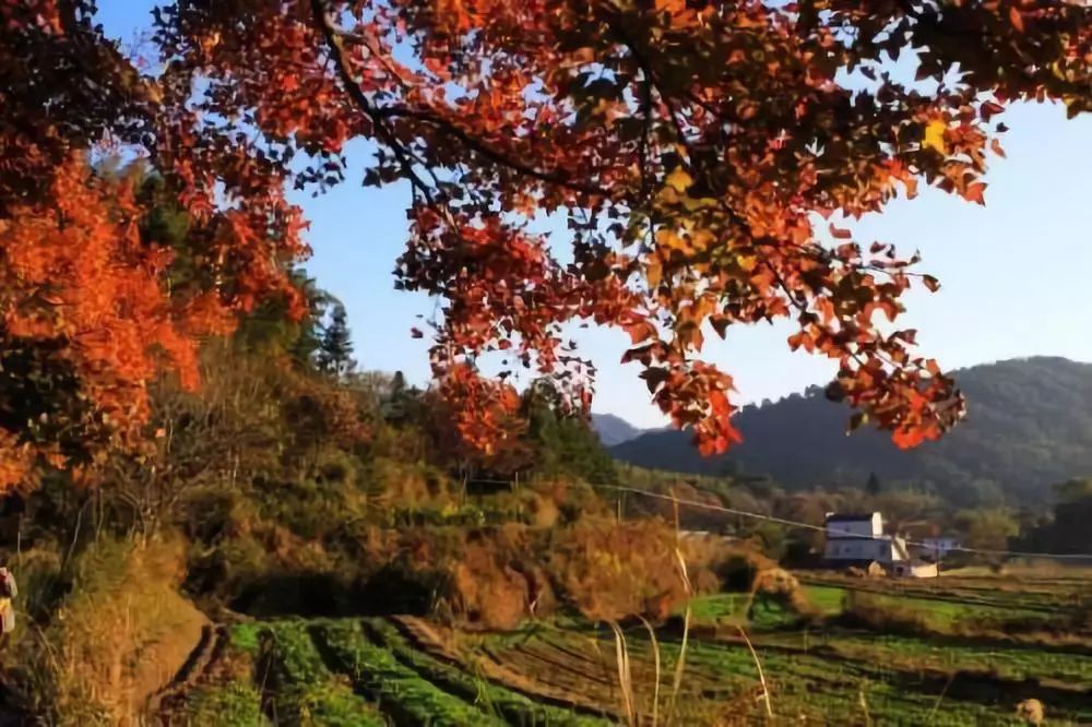 10个小众地方,十个冷门小众国家