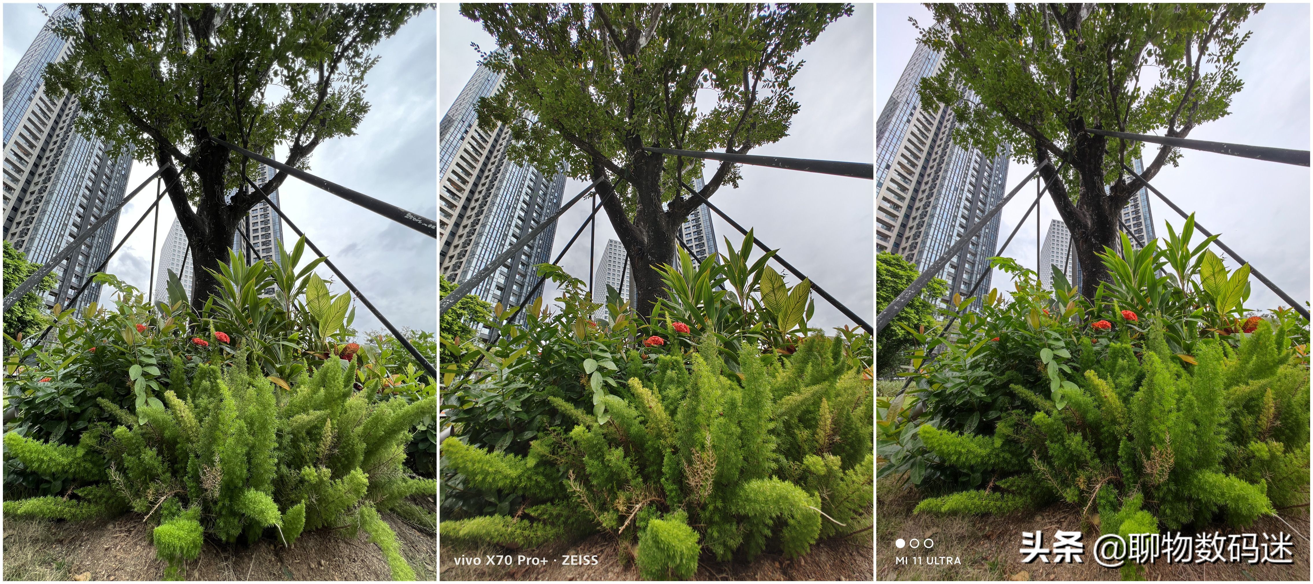 iphone8plus拍照评测,iphone还是全球最好的手机吗