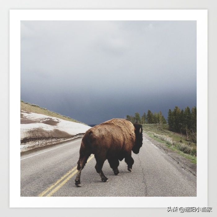 悦嗨家居装饰画,时尚百搭的装饰画推荐