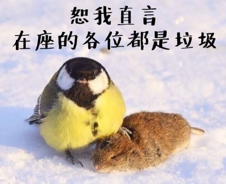 现在的游戏真的是不氪金就不能玩,不肝不氪适合长期玩的游戏