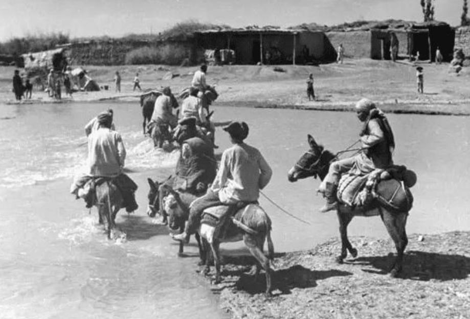 骑毛驴去看毛主席的库尔班,临终:后代参军报国,重孙女完成遗愿