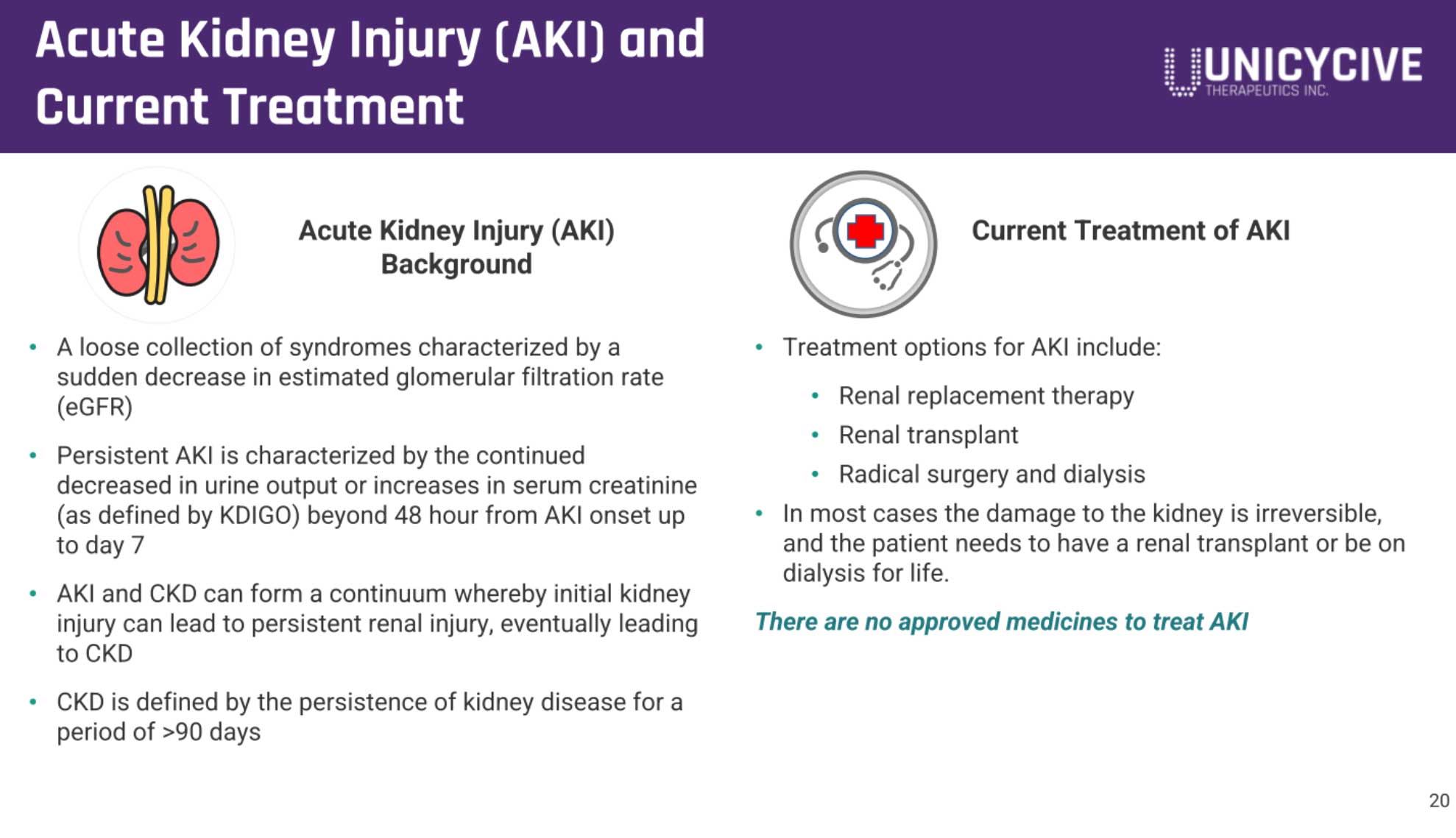 Unicycive冲刺纳斯达克：拟募资2766万美元路演PPT曝光