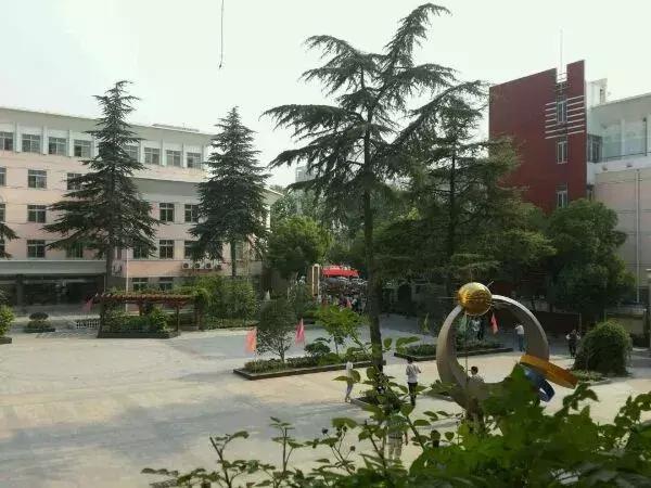 庐阳高中2017分数线,庐阳高中录取分数线2019