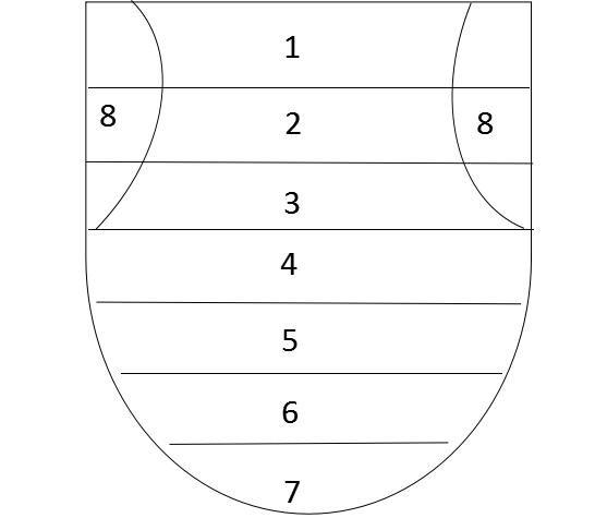 opt口肌评估,opt面部提拉