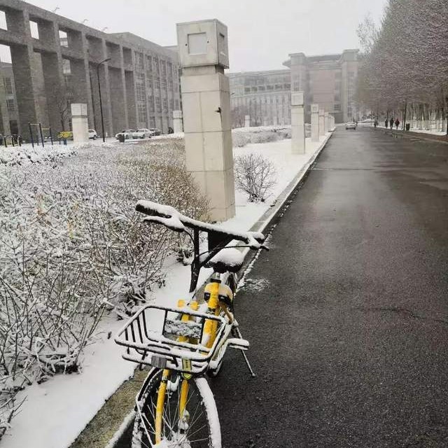 辽宁省普通高等院校,辽宁省沈阳本科大学