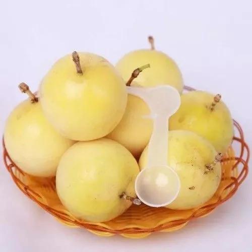 广西梧州最好的果园,梧州摘水果的地方