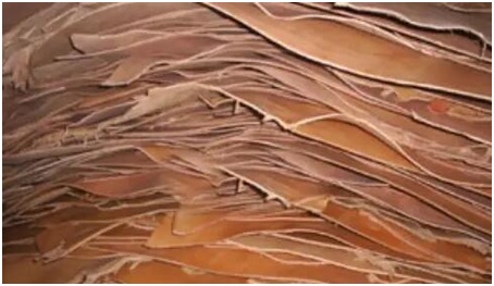 鑸屽皷涓婄殑瀹夊叏姘磋В铔嬬櫧 (鐗涘ザ涓殑鐨潻姘磋В铔嬬櫧)