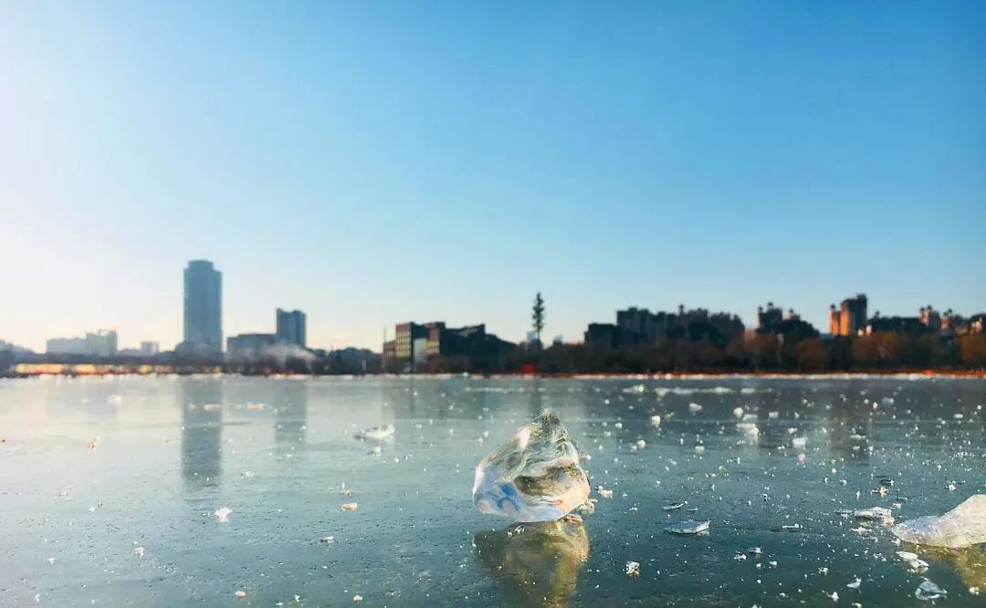 仙鹤起舞水粉画,仙鹤起舞展翅飞