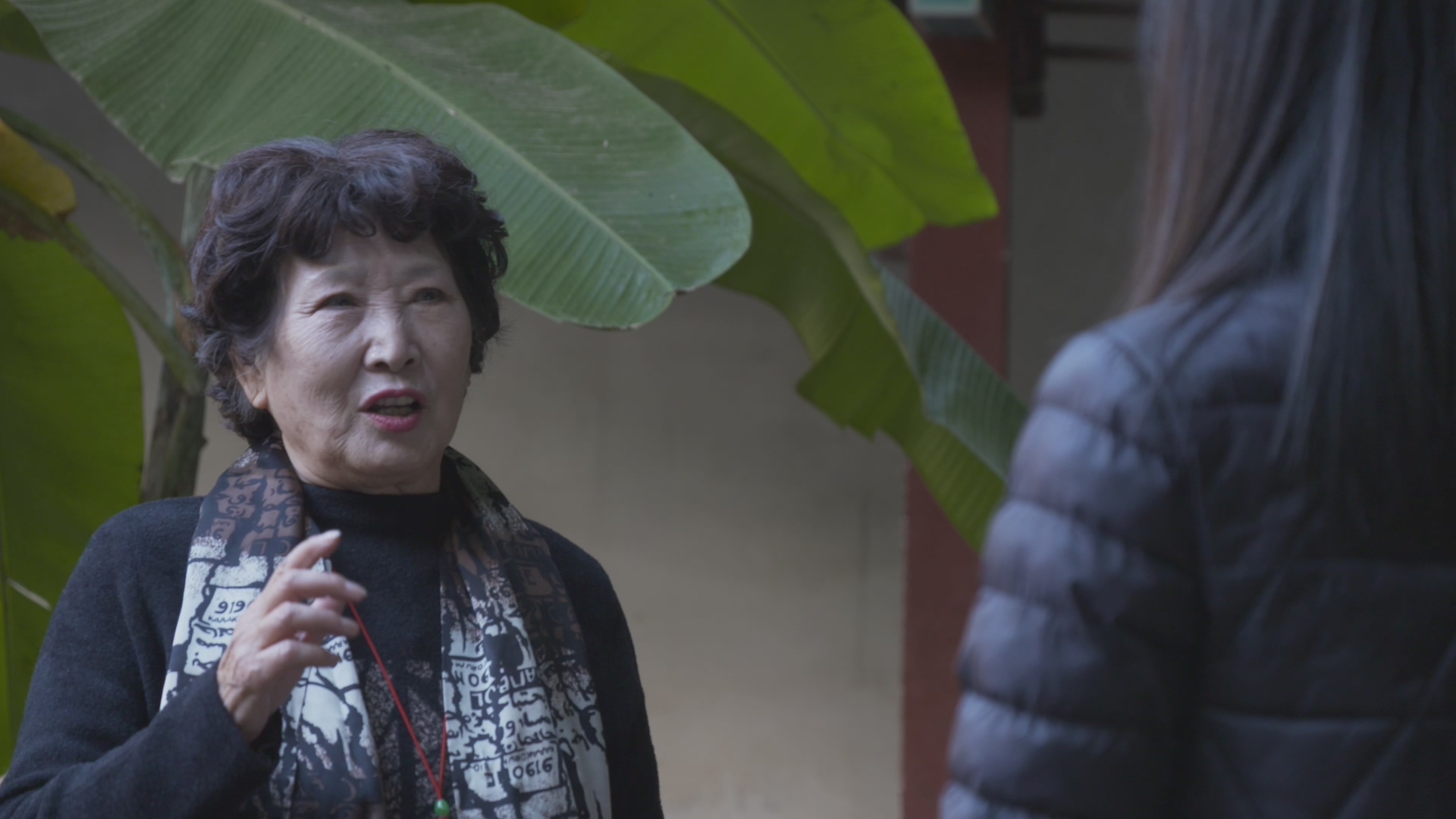 昆明五华书香门第,昆明书香门第