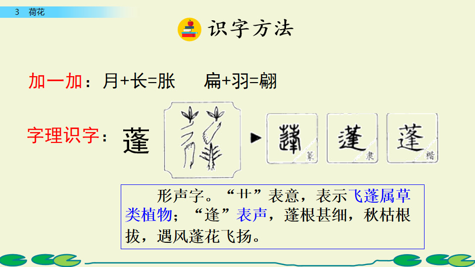 三年级下册语文荷花小练笔200字,三年级下册语文3课荷花课文讲解