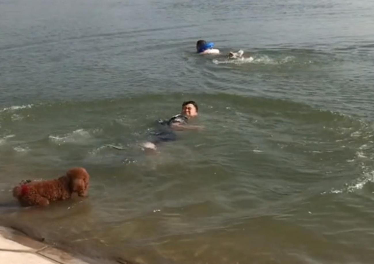 泰迪豆豆生活记录,泰迪狗狗豆豆爱旅行