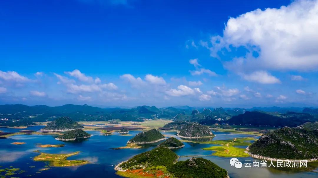 云南生物多样性保护工作,广州生物多样性保护工作亮点纷呈