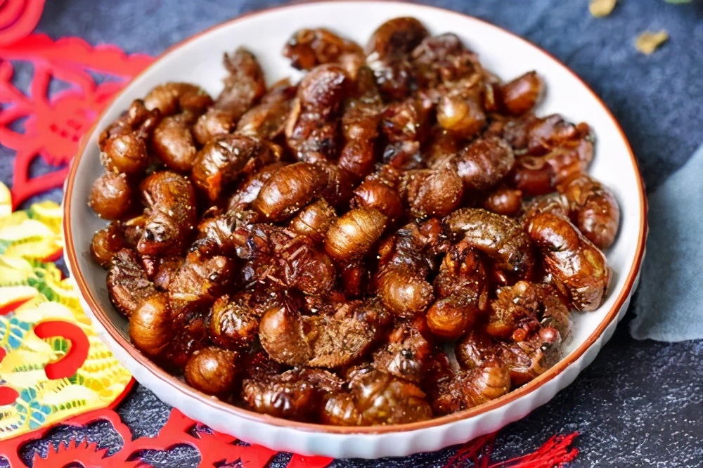 炸金蝉家常做法,炸金蝉的酥脆方法